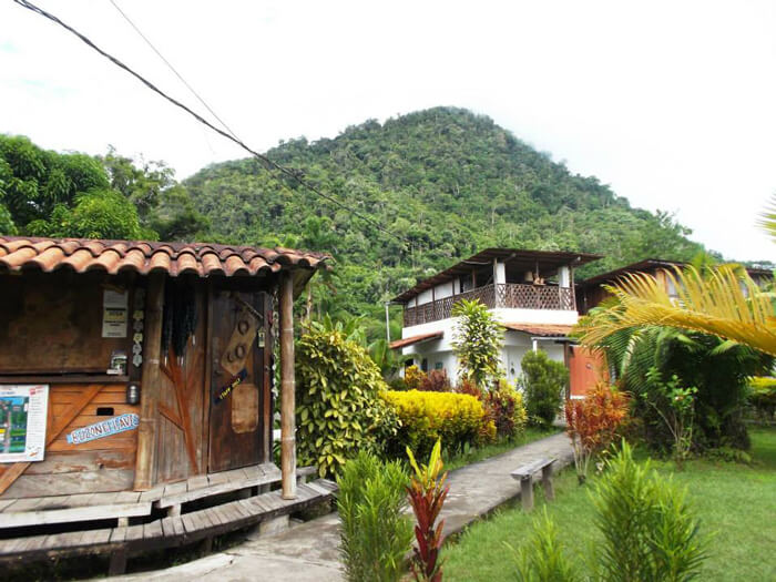 alojamiento eco rural villa jennifer tingo maria recorre el peru