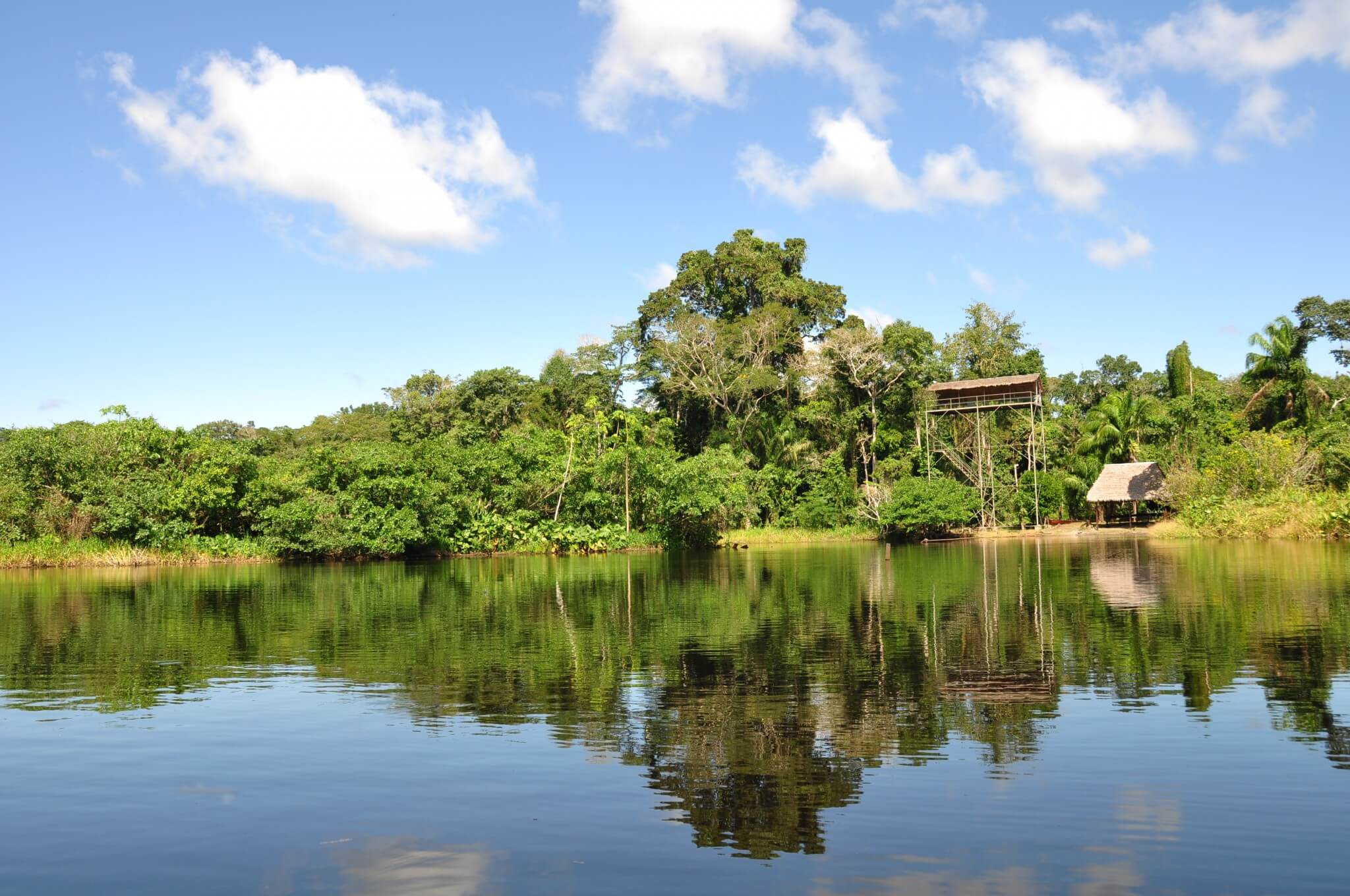 tour puerto maldonado