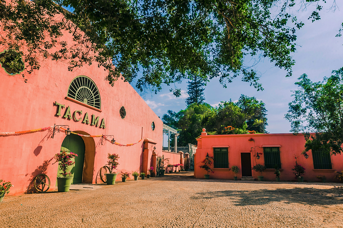 tour ica paracas