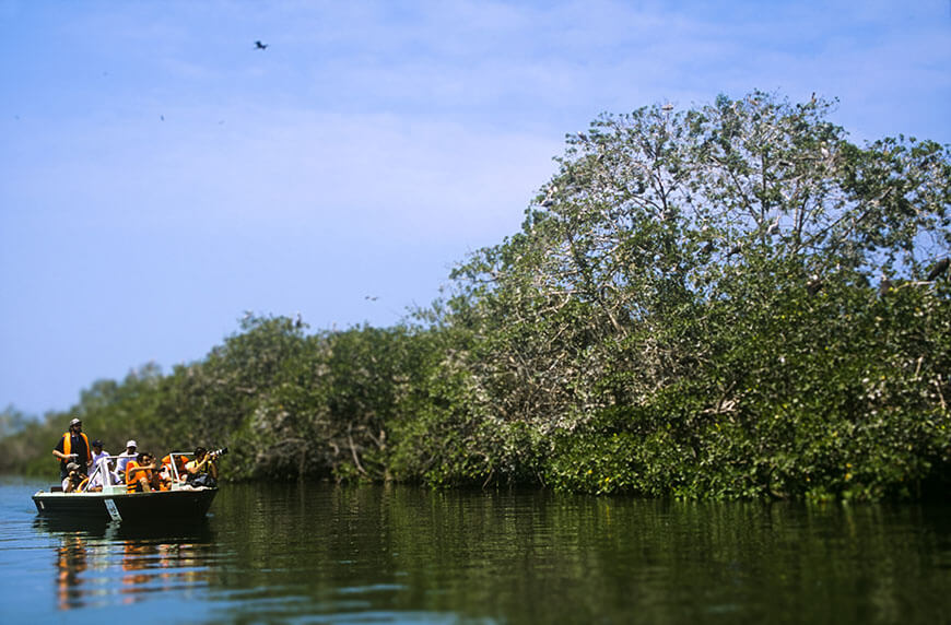 mancora manglares de tumbes piura